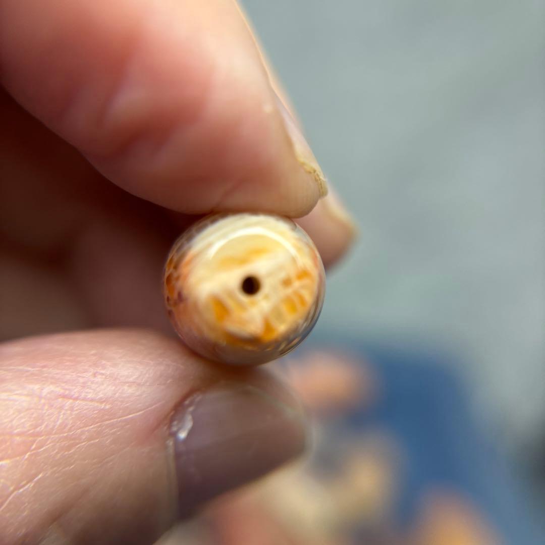 もんちゃんフォッシルコーラル　天珠　1-288