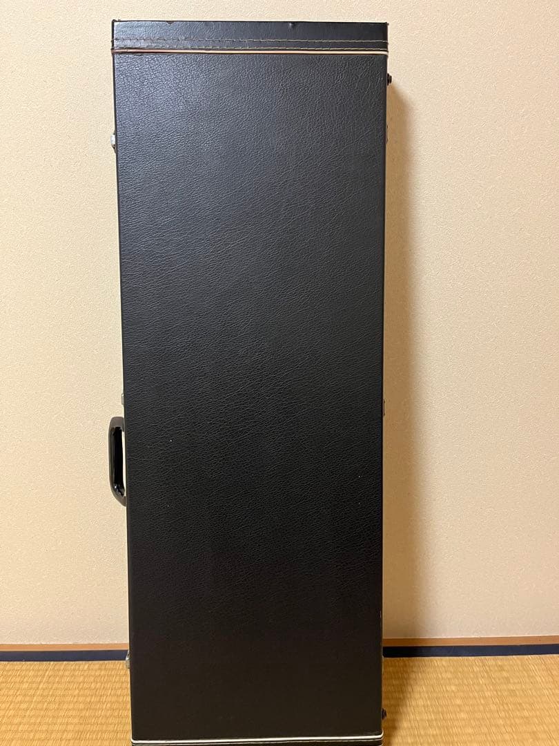 Greco SPACEY SOUND ケース付