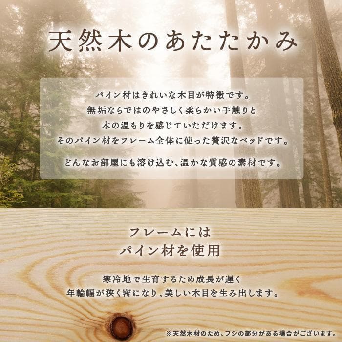 Nana2【ナナ2】すのこベッド　ベッドフレーム　シングル【一年保証】