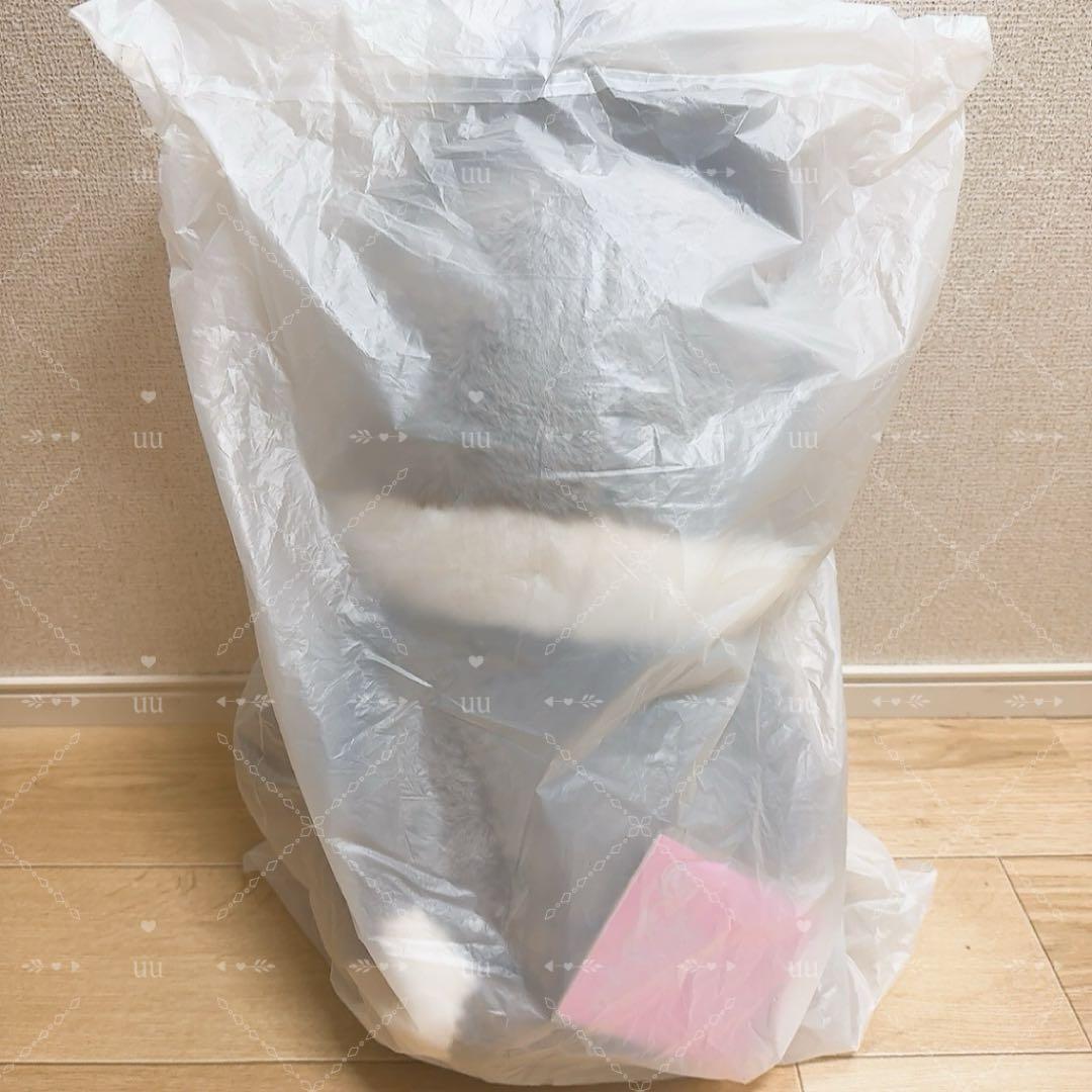 スキズ　テディベア ぬいぐるみ ウルフチャン バンチャン　60cm teddy