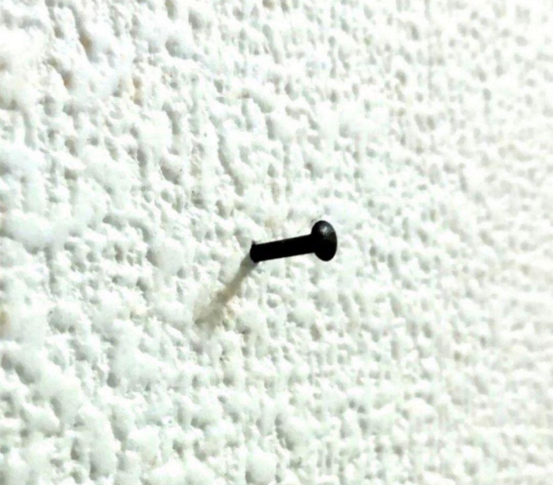 うさぎの額付き銅版画