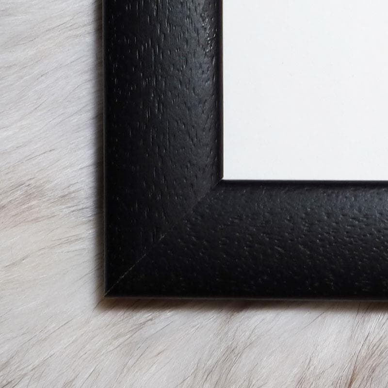 額装済/アーノルド・シュワルツェネッガー/ロジャー マッケンジー/アートポスター