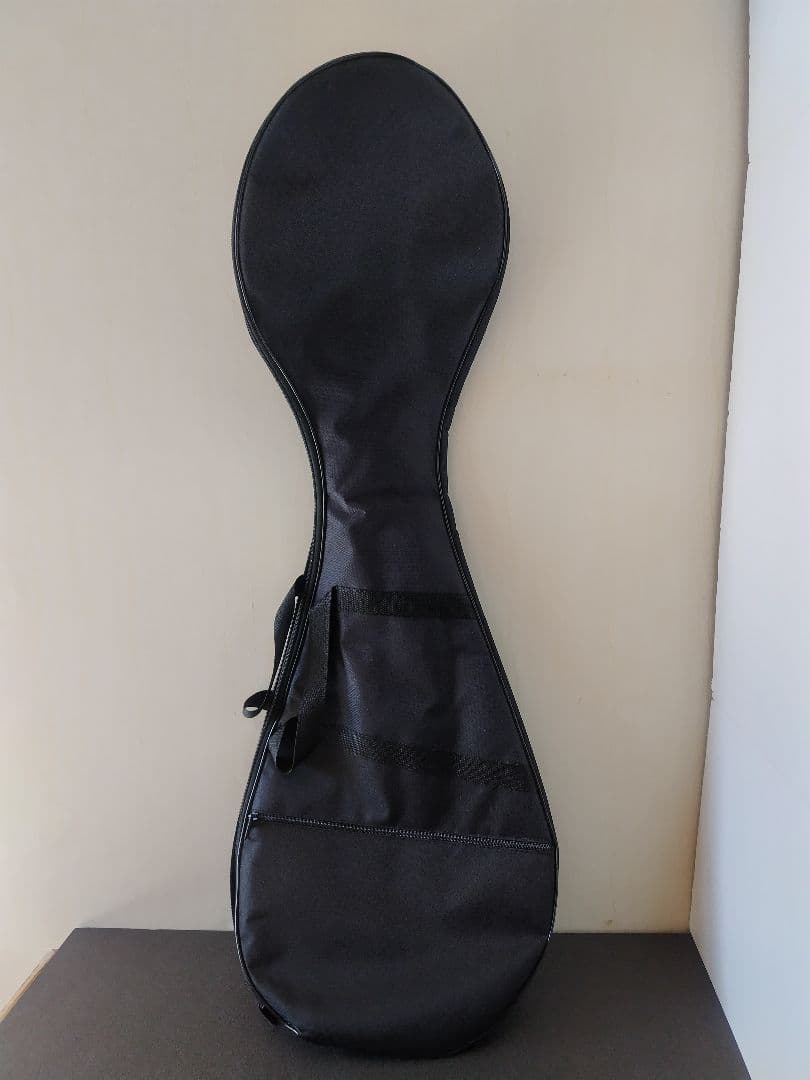 中国琵琶、ケース、弦、DVD - 弦楽器ブランド 品 通販