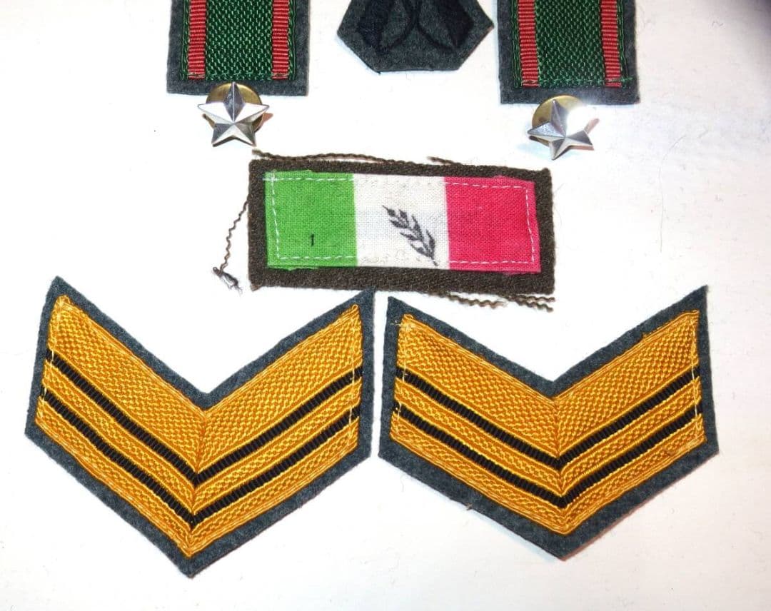 WW2イタリア軍第44歩兵師団「クレモナ」＆南イタリア軍「クレモナ戦闘団」徽章