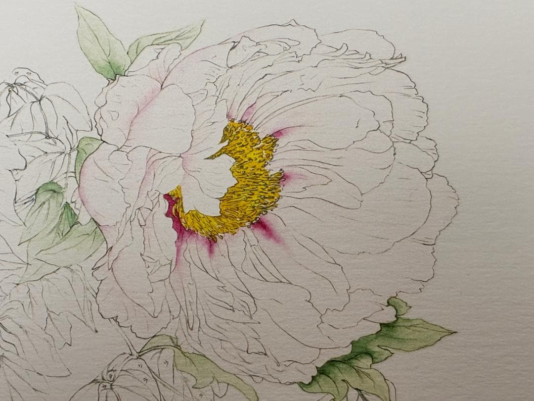 須加五々道 　『牡丹』　 額装