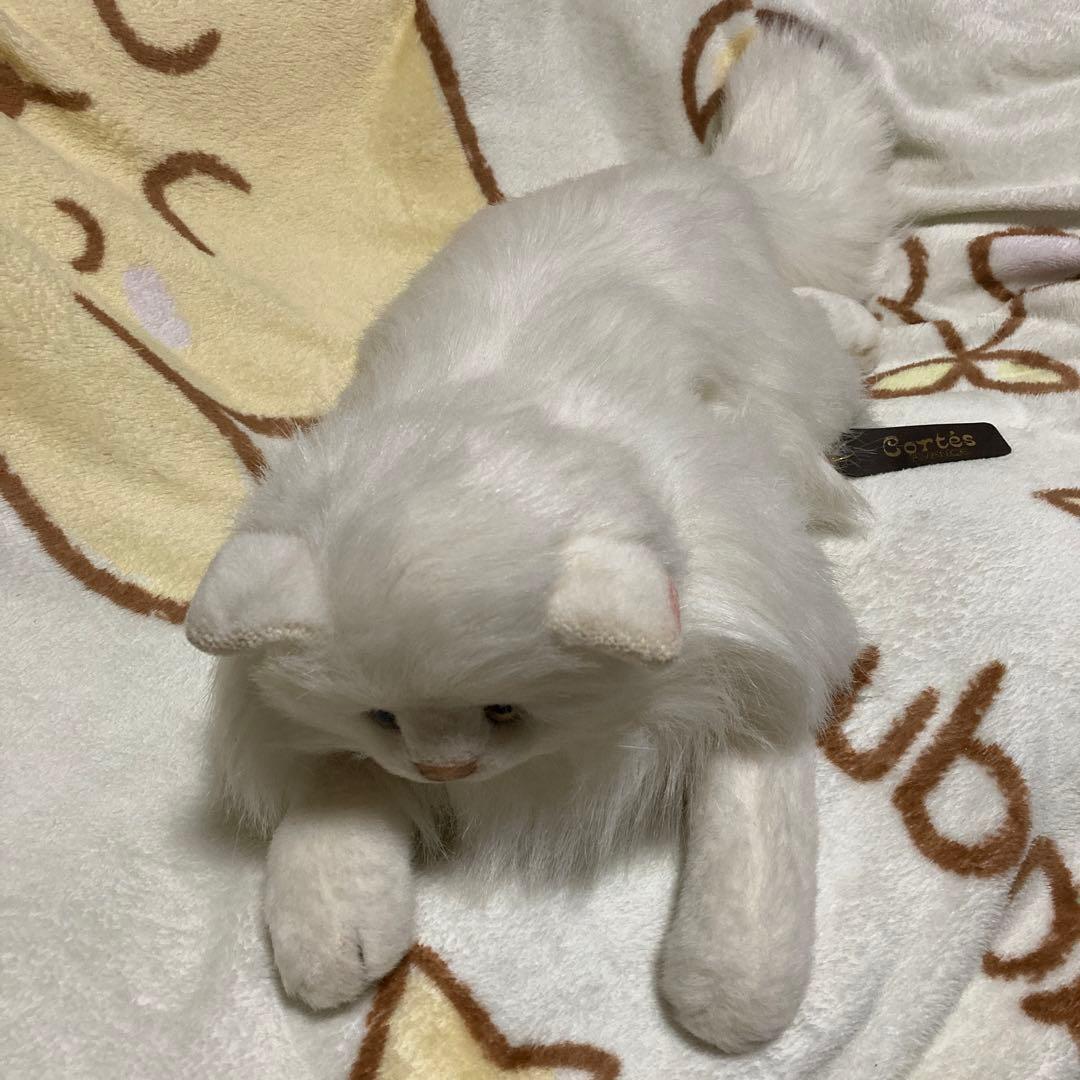 アバンセ ペルシャ猫 ぬいぐるみ 中古品 - メルカリ
