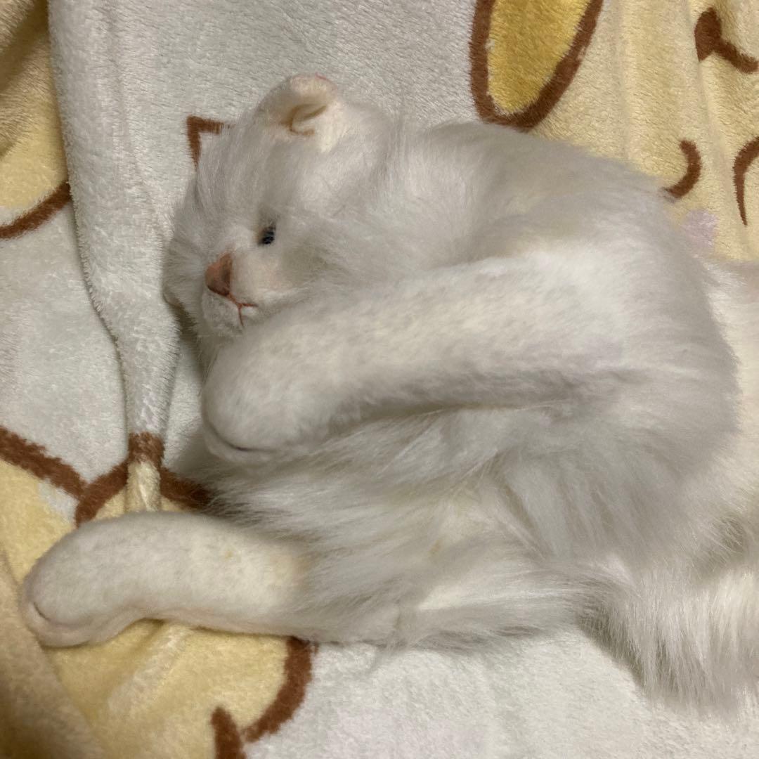 アバンセ ペルシャ猫 ぬいぐるみ 中古品 - メルカリ