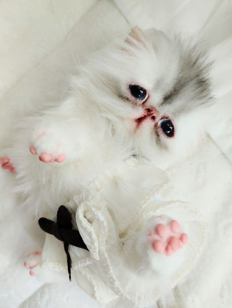 生後10日♡くりくりオメメの子猫ちゃん♡アートドール♡ぬいぐるみ♡