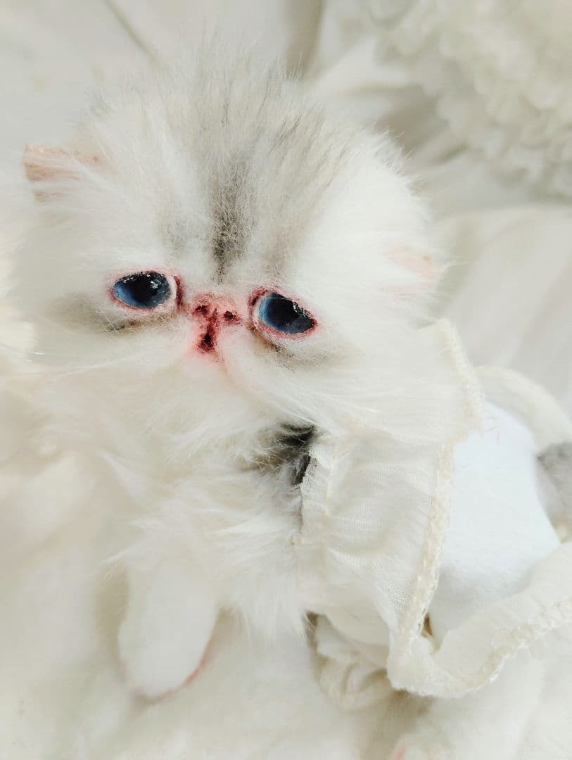 生後10日♡くりくりオメメの子猫ちゃん♡アートドール♡ぬいぐるみ♡