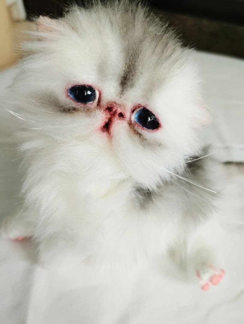 生後10日♡くりくりオメメの子猫ちゃん♡アートドール♡ぬいぐるみ♡