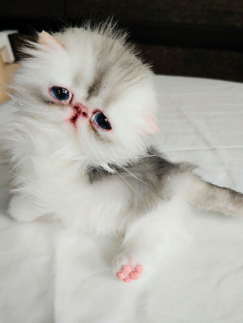 生後10日♡くりくりオメメの子猫ちゃん♡アートドール♡ぬいぐるみ♡