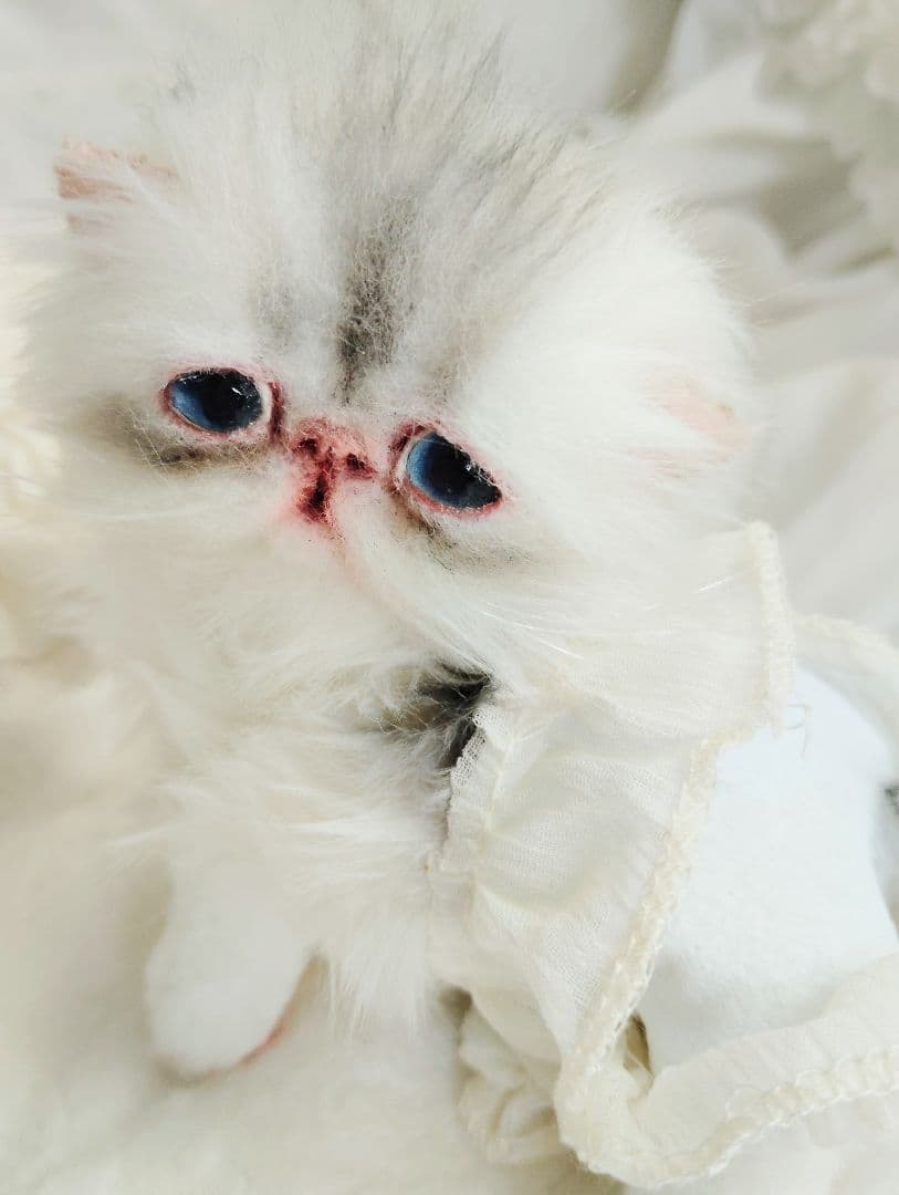 生後10日♡くりくりオメメの子猫ちゃん♡アートドール♡ぬいぐるみ♡