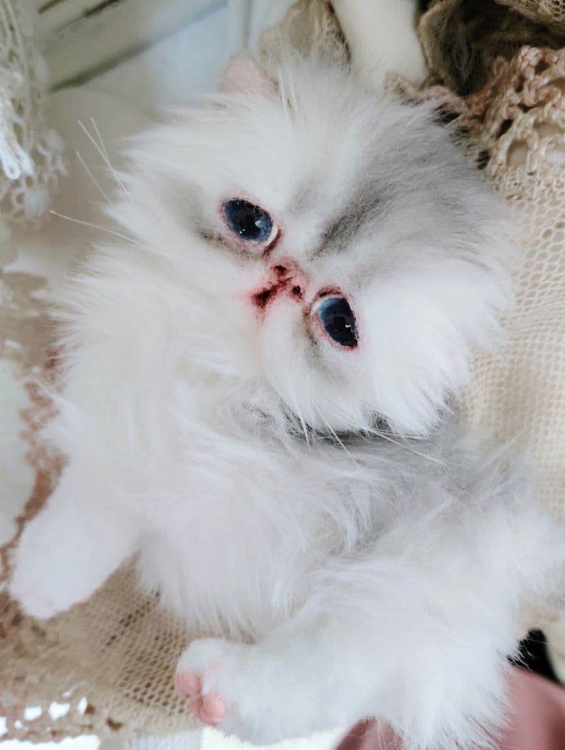 生後10日♡くりくりオメメの子猫ちゃん♡アートドール♡ぬいぐるみ♡