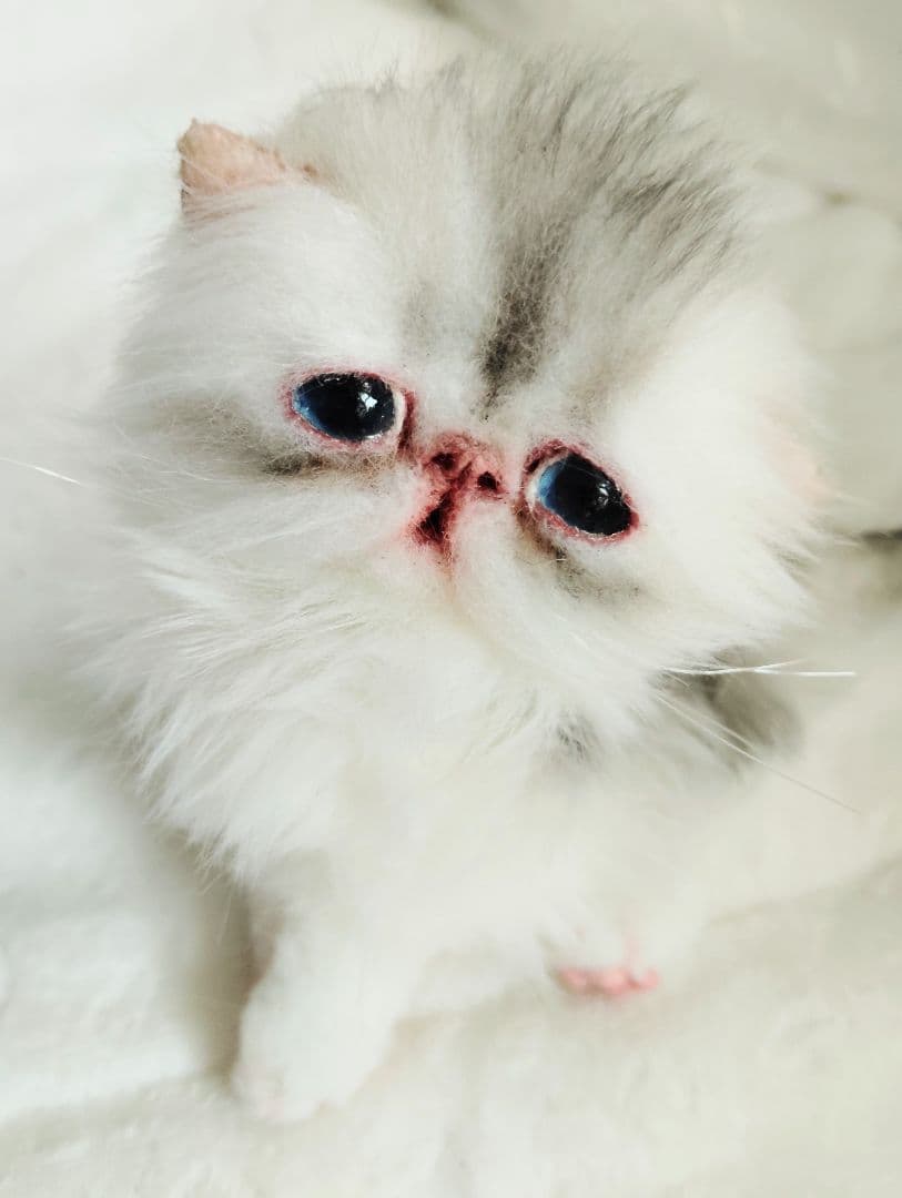 生後10日♡くりくりオメメの子猫ちゃん♡アートドール♡ぬいぐるみ♡