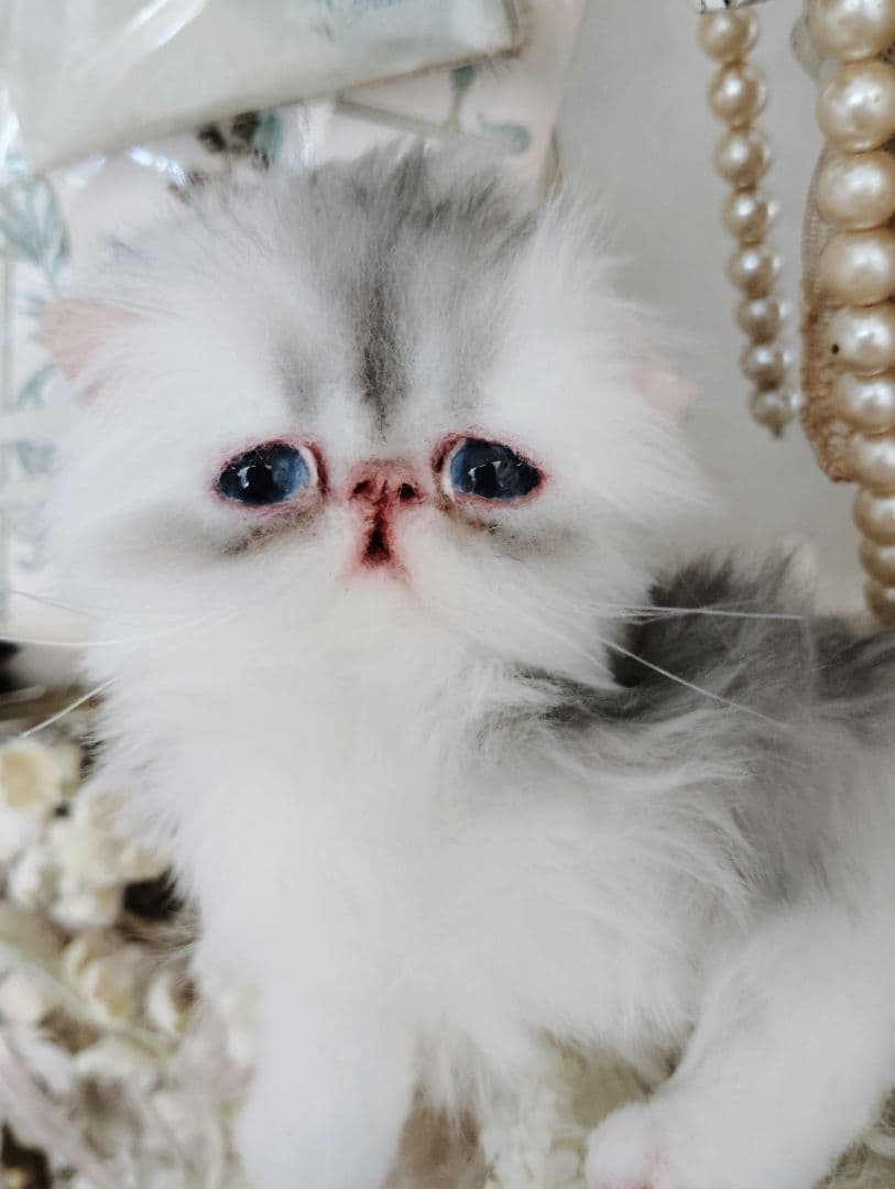 生後10日♡くりくりオメメの子猫ちゃん♡アートドール♡ぬいぐるみ♡