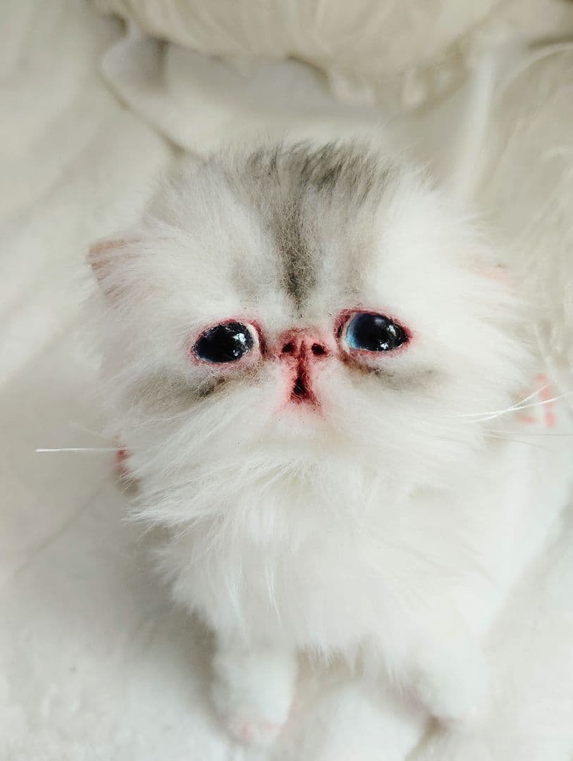 生後10日♡くりくりオメメの子猫ちゃん♡アートドール♡ぬいぐるみ♡