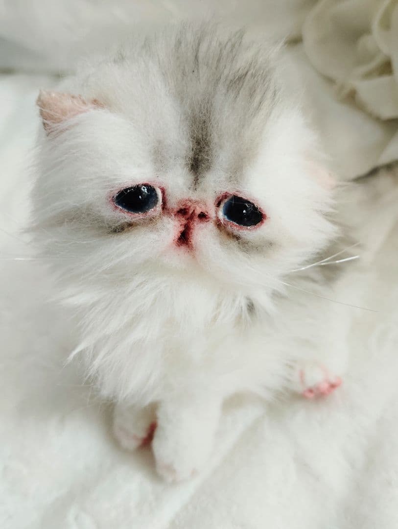 生後10日♡くりくりオメメの子猫ちゃん♡アートドール♡ぬいぐるみ♡