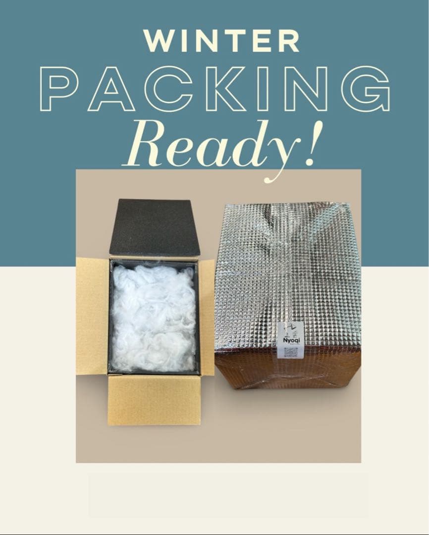 【メルカリ便】P. Willinckii Spur(TC) 【42】