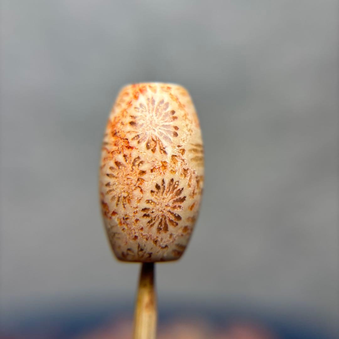 あずきちゃんフォッシルコーラル　天珠　1-289