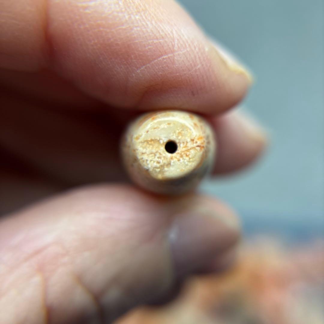 あずきちゃんフォッシルコーラル　天珠　1-289