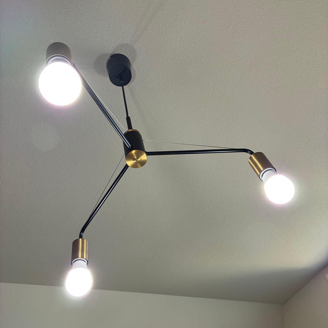 【限定】DE CLASSE ディクラッセ Treno トレノ ペンダントランプ