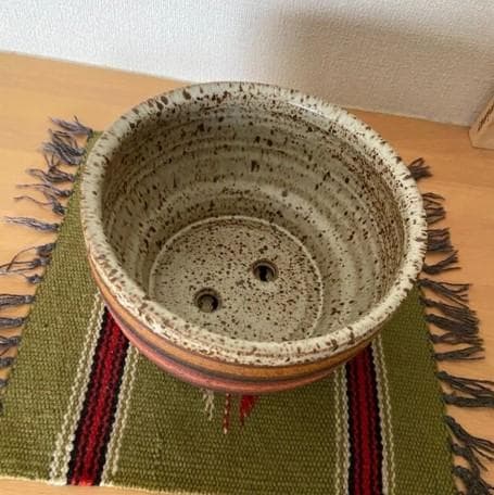 ラージ　キャットアンドロジャー　Kat & Roger 　鉢