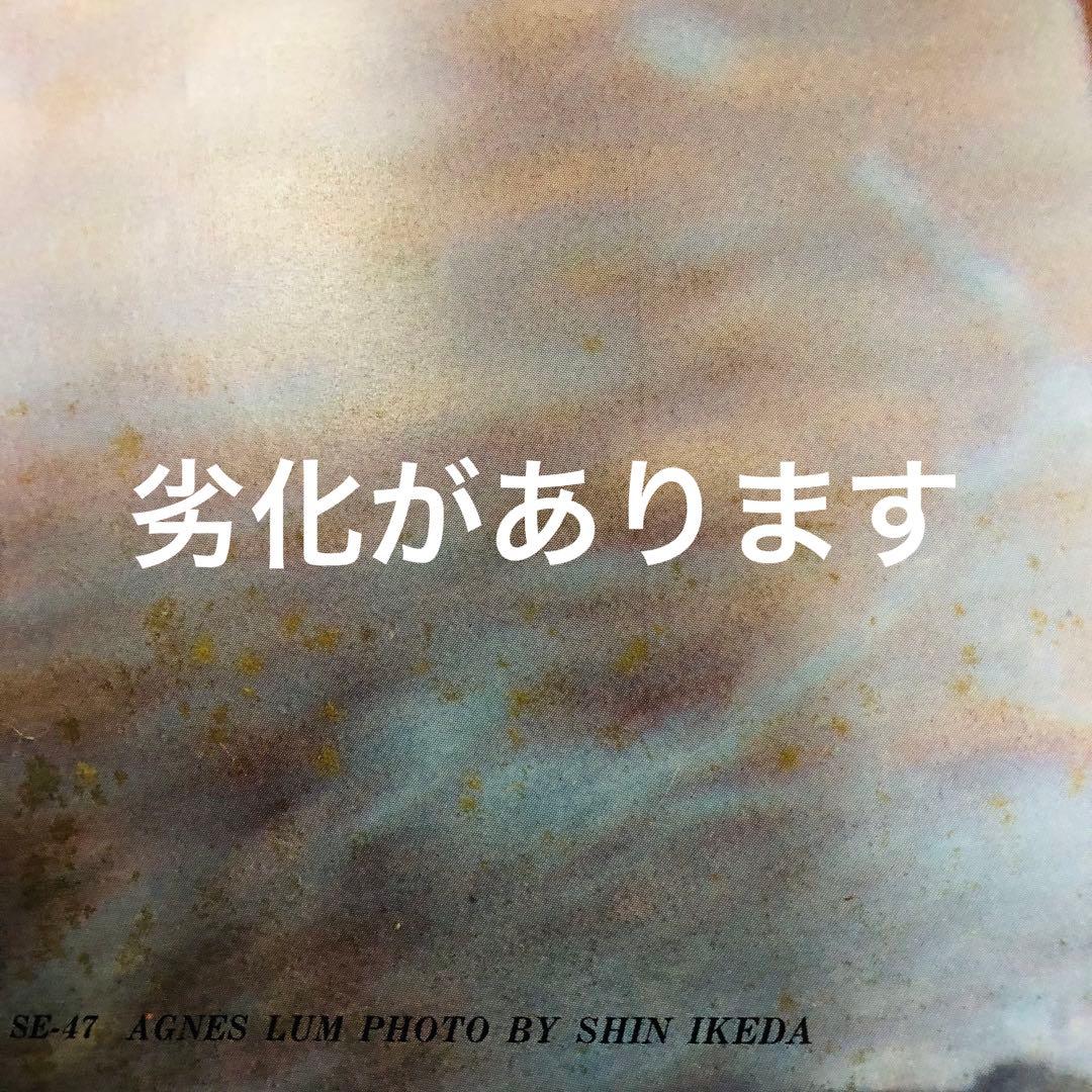 希少！アグネス・ラムポスター ハワイの女神 降臨超絶美女 1976年大