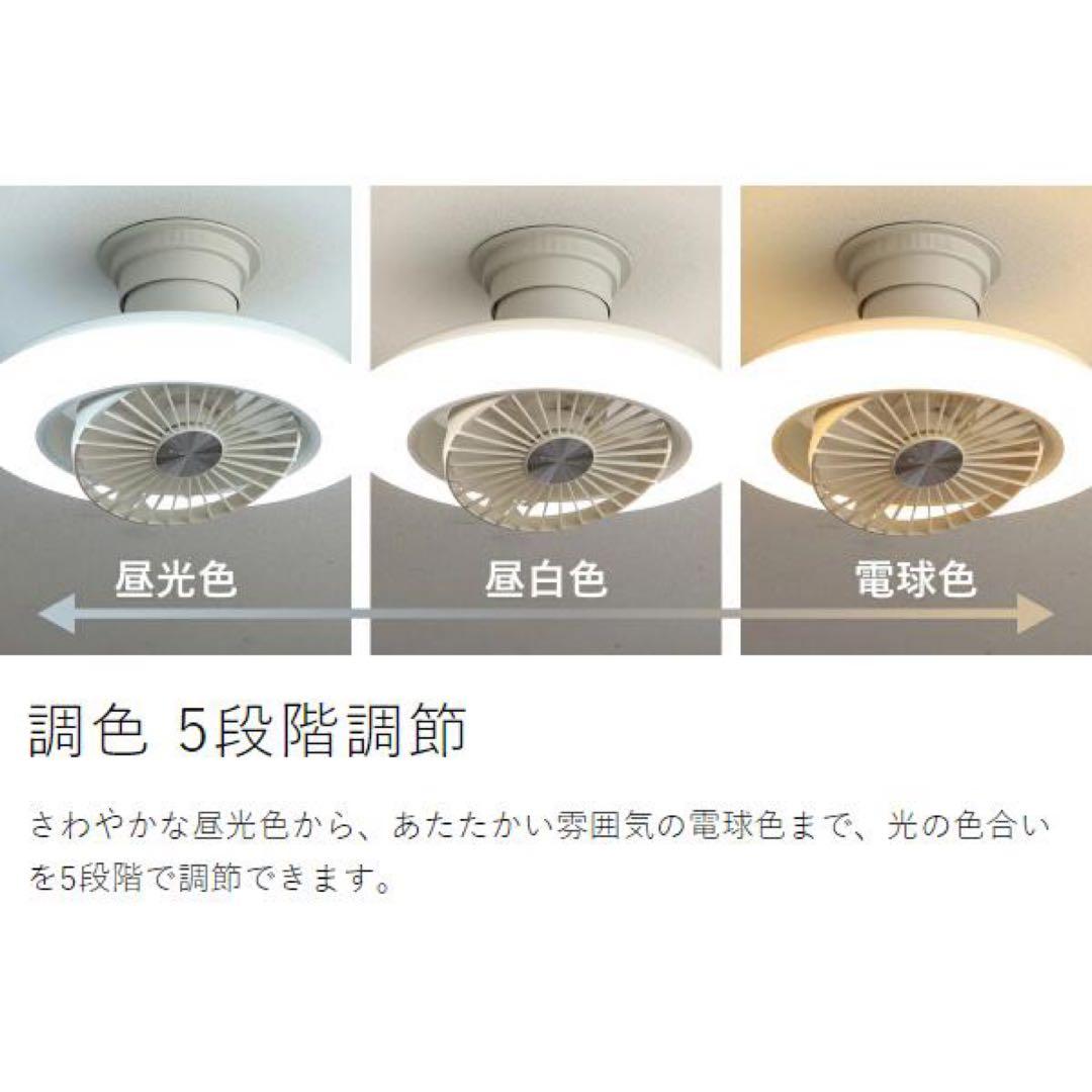 新品 DOSHISHA ドウシシャ DCC-SW06EC サーキュライト