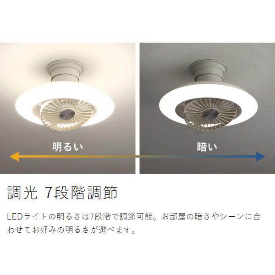 新品 DOSHISHA ドウシシャ DCC-SW06EC サーキュライト