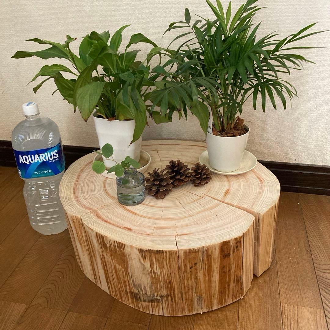 一枚板　切り株　ナチュラルウッド　特大46cm 樹齢約80年 ハンドメイドB