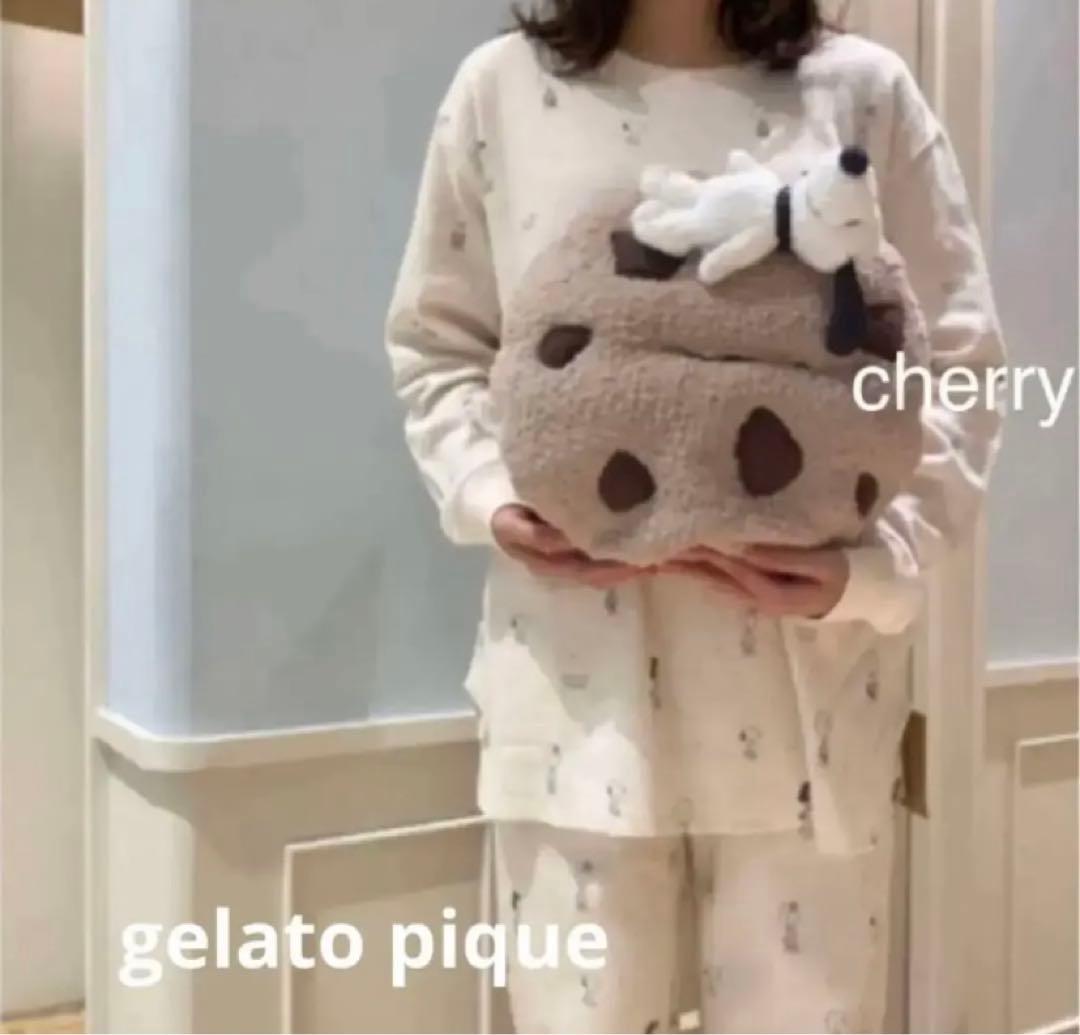 完売品　スヌーピー ジェラートピケ【PEANUTS】 クッキーテッシュケース