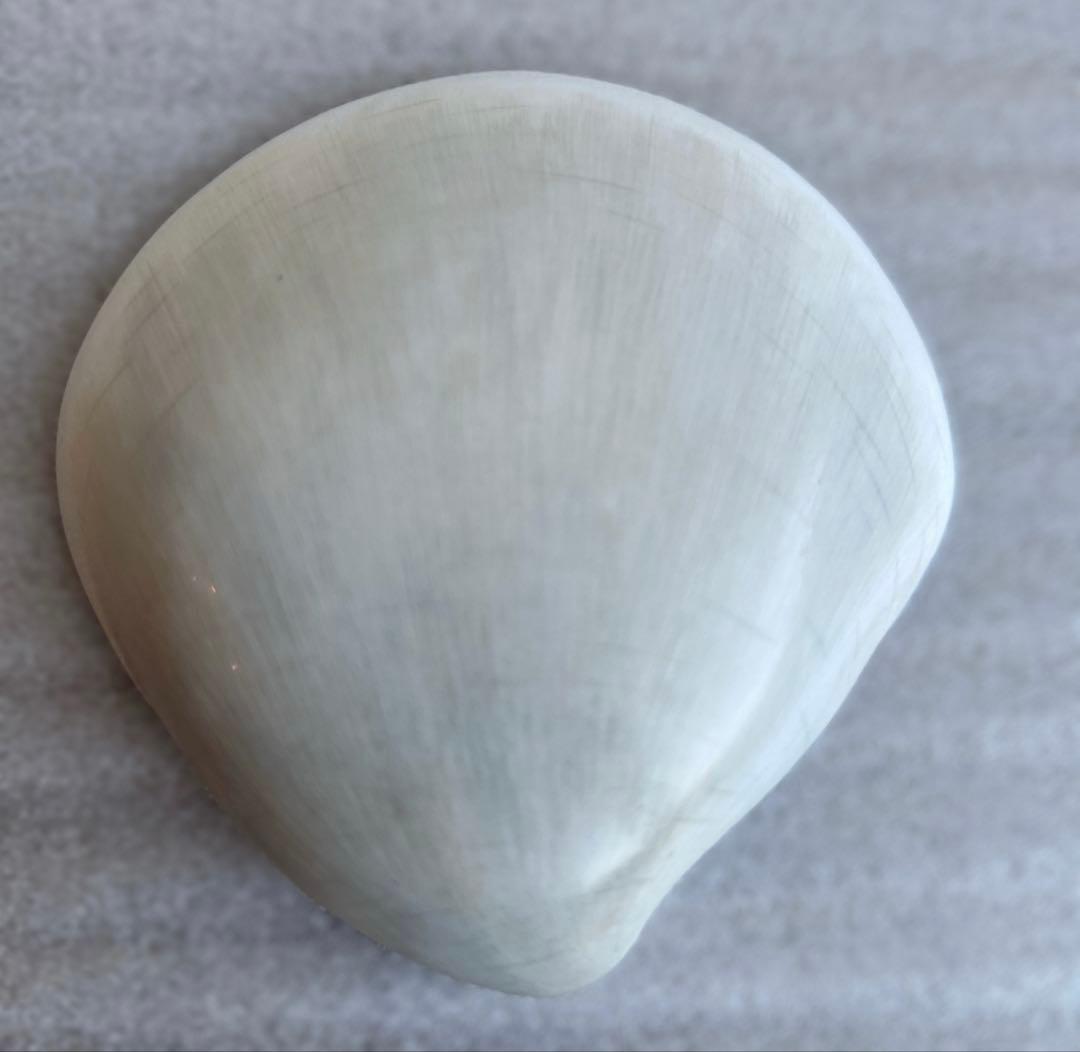 ヘレンド　ウィーンの薔薇・ピンク　貝雛