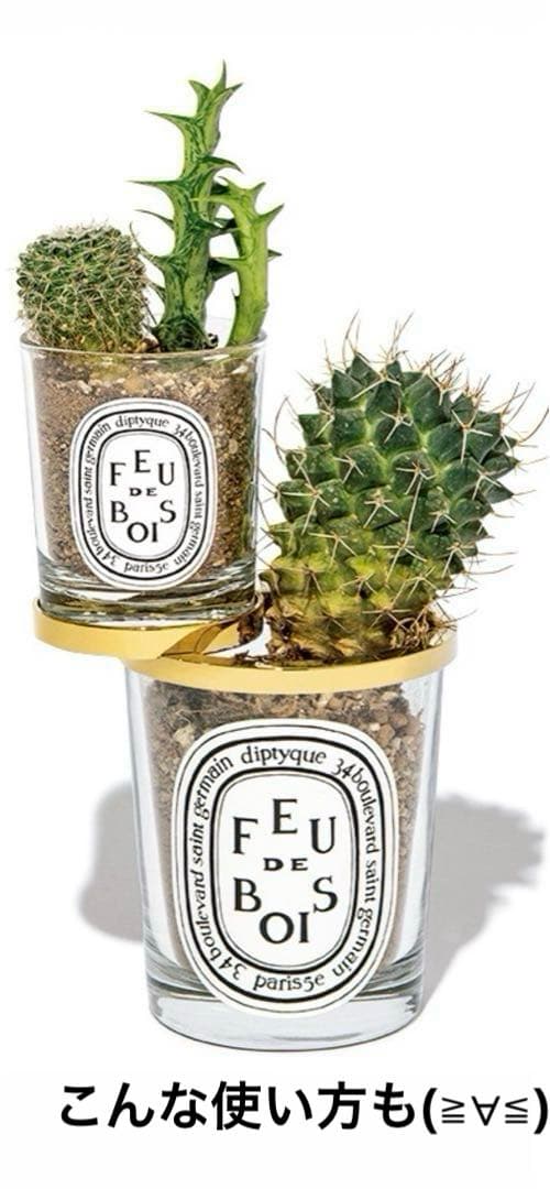 diptyque❣️キャンドルダブルリング 　　　　　　　　　　　　アンセパラブル