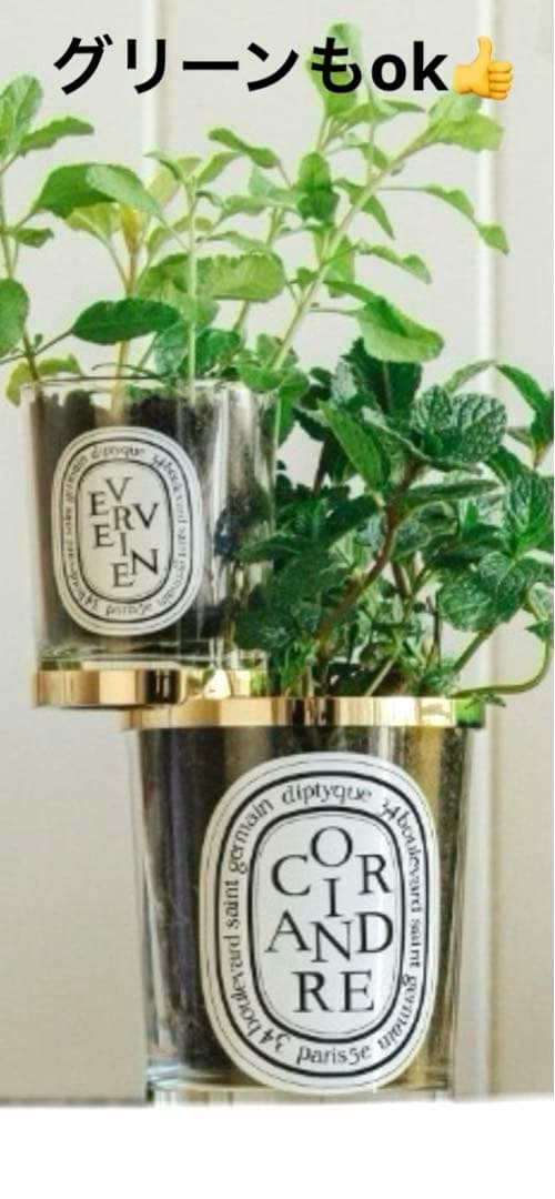 diptyque❣️キャンドルダブルリング 　　　　　　　　　　　　アンセパラブル