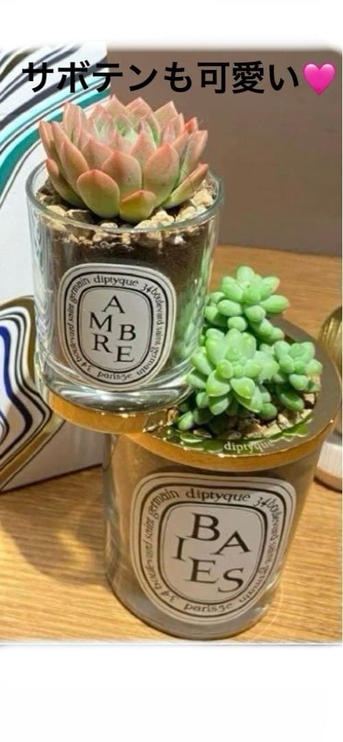 diptyque❣️キャンドルダブルリング 　　　　　　　　　　　　アンセパラブル