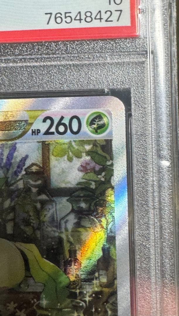 リーフィアVSTAR SAR S12a VSTARユニバース 210/172