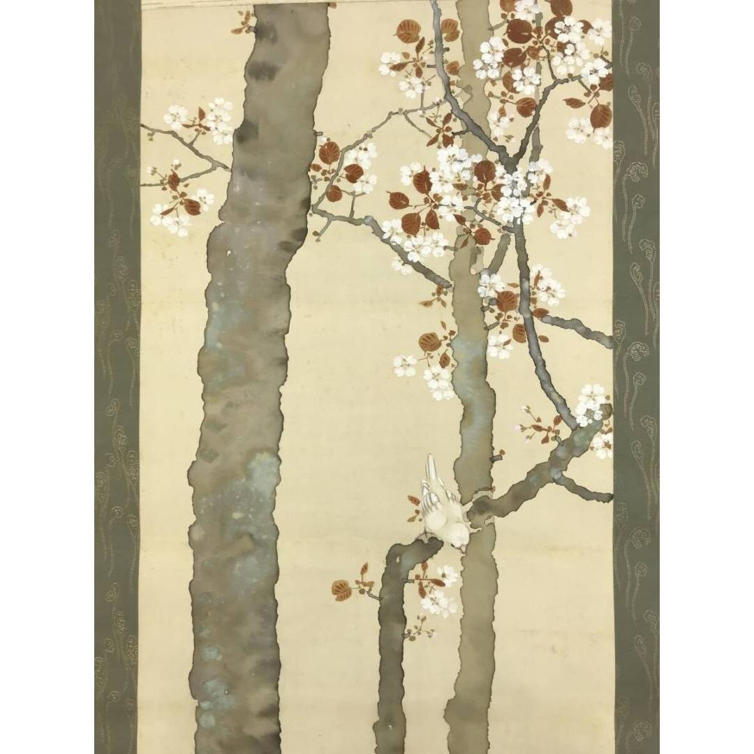 真作/山田耕雲/桜花小禽図/花鳥図/春の掛軸/掛軸/名家伝来/AK-706