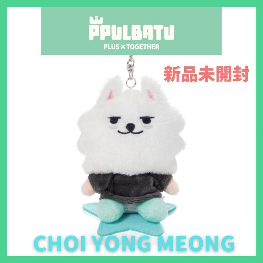 TXT PPULBATU】 スビン＊ヨンモン＊ ぬいぐるみキーホルダー - メルカリ