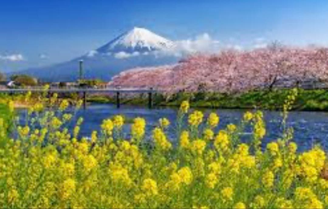 ③組子細工　ウォールアート　パーテーション