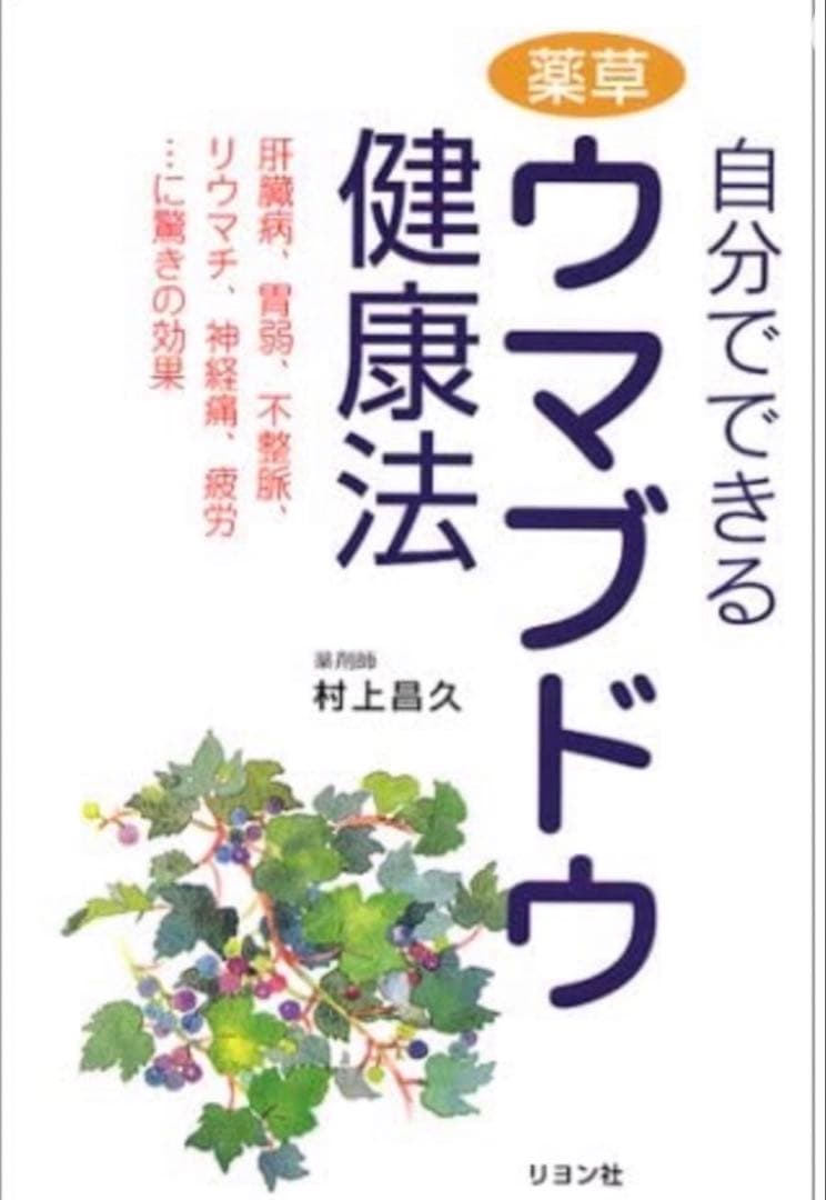 【在庫わずか】馬ぶどう250g×12袋　1年分3kg うまぶどう　薬膳　民間療法