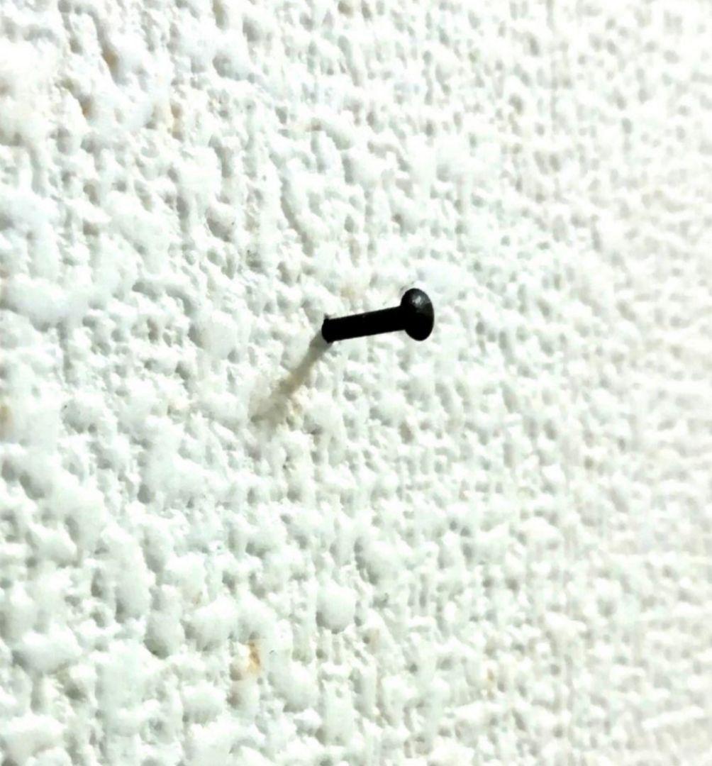 依頼者優先購入　title「睨み猫」