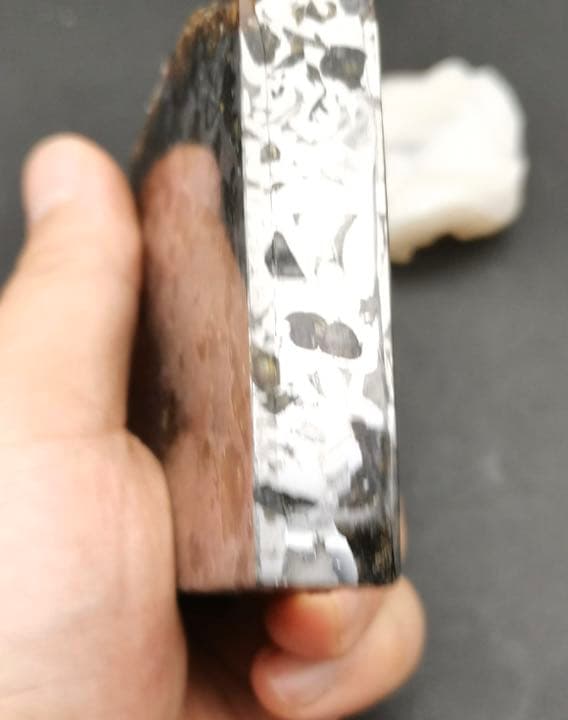 セイムチャン隕石　パラサイト隕石  601.6g ロシア産