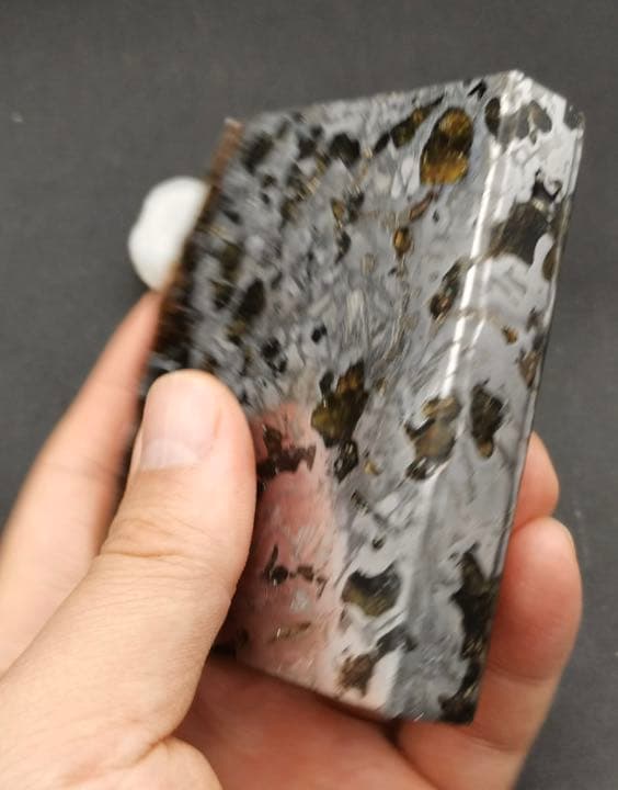 セイムチャン隕石　パラサイト隕石  601.6g ロシア産