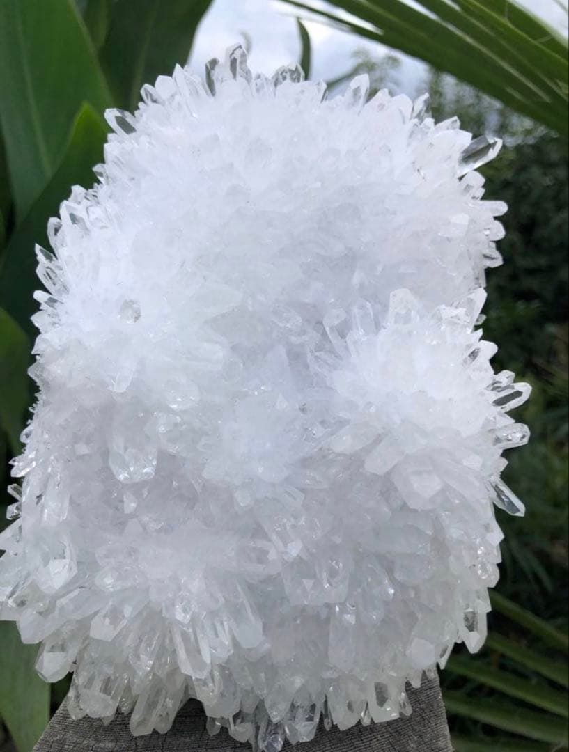 ✳ ❤️1.38kg 透明感拔群　高品質レムリアン の様な菊花水晶　クラスター