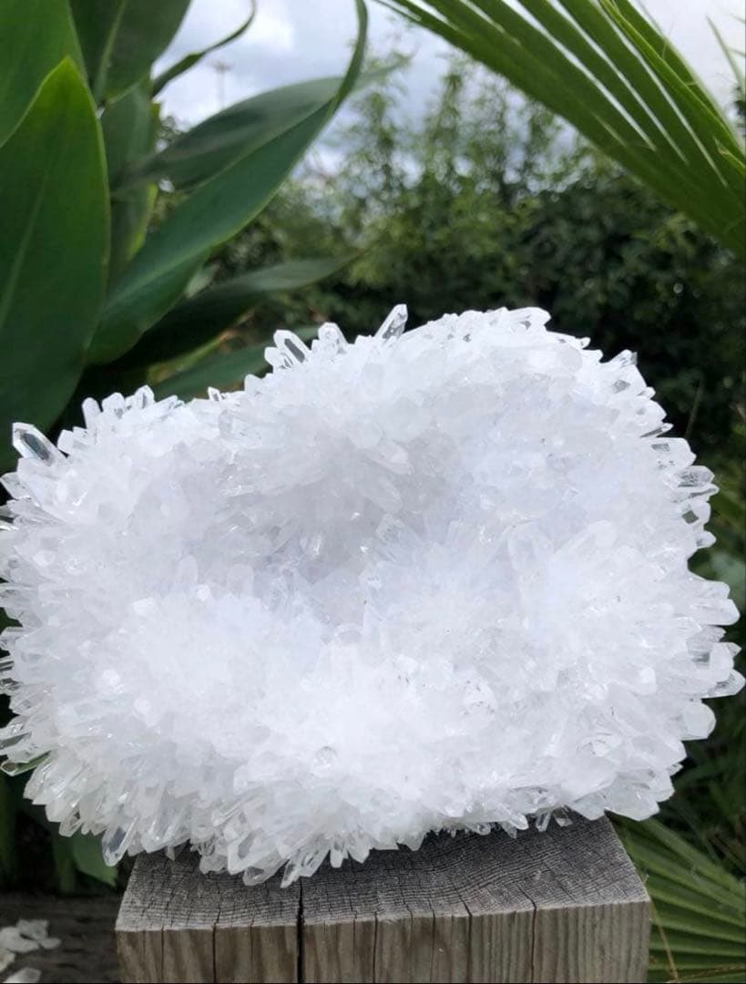 ✳ ❤️1.38kg 透明感拔群　高品質レムリアン の様な菊花水晶　クラスター