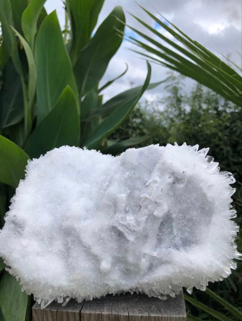 ✳ ❤️1.38kg 透明感拔群　高品質レムリアン の様な菊花水晶　クラスター