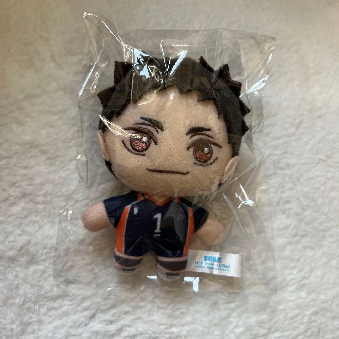 ハイキュー セガラッキーくじ ぬいぐるみ 澤村 大地 - メルカリ