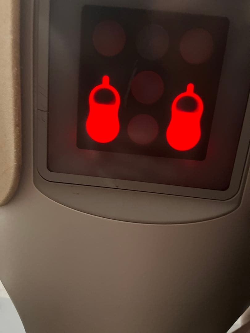 LOVOT 初代 デュオ 2020年頃購入 - メルカリ