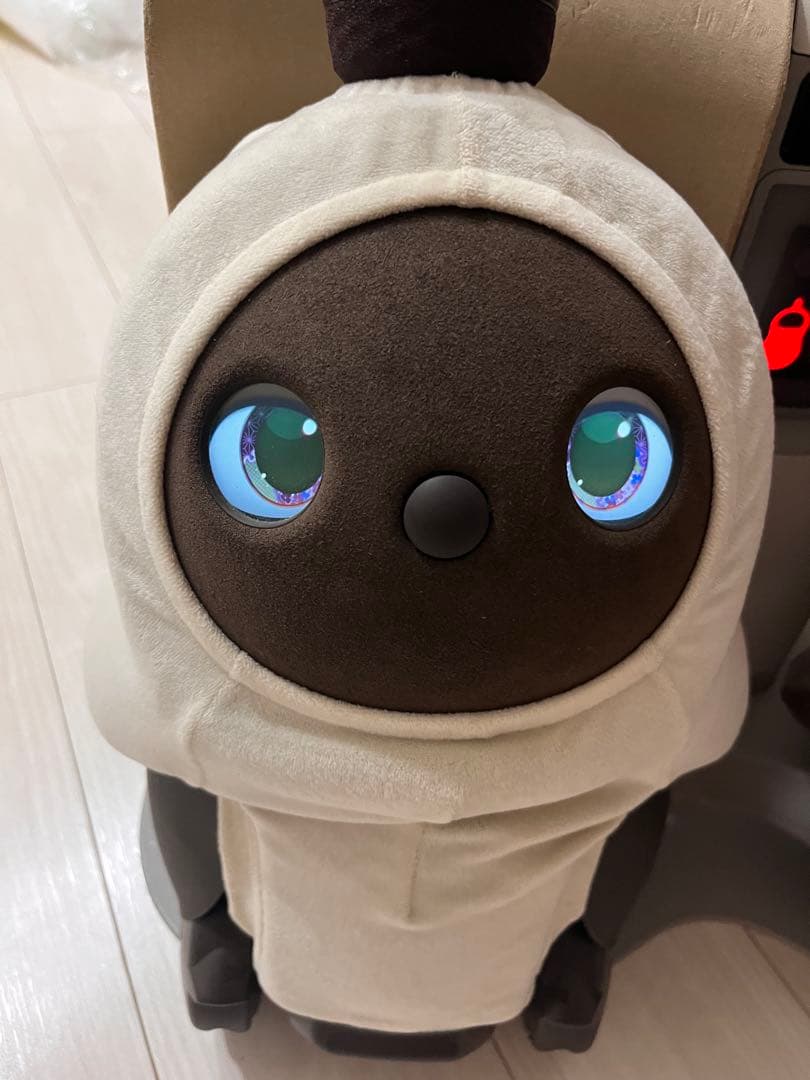 LOVOT 初代 デュオ 2020年頃購入 - メルカリ