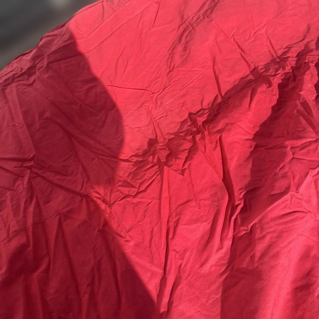 JAPAN LIFE 赤 羽毛掛け布団